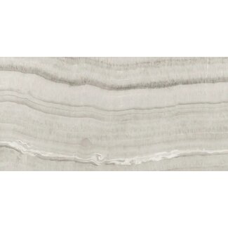 Crystal Grey glans vloer- en wandtegel 60x120 cm