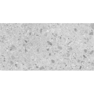 Geotech Light Grey mat vloer- en wandtegel 60x120 cm