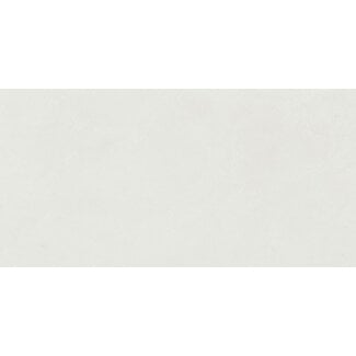 Astor White mat vloer- en wandtegel 60x120 cm