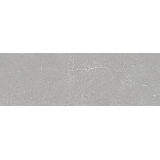 Astor Grey mat wandtegel 30x90 cm
