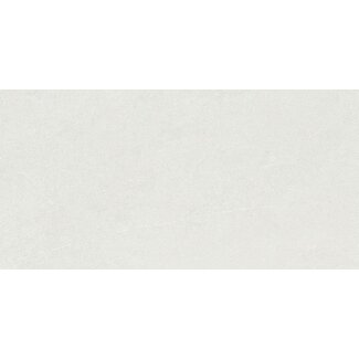 Astor White mat wandtegel 30x60 cm