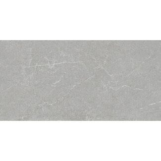 Astor Grey mat wandtegel 30x60 cm