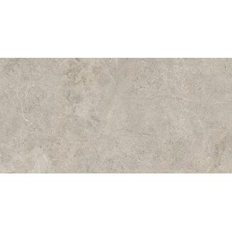 Sanfrancisco Natural Sand halfglans vloer- en wandtegel 60x120 cm