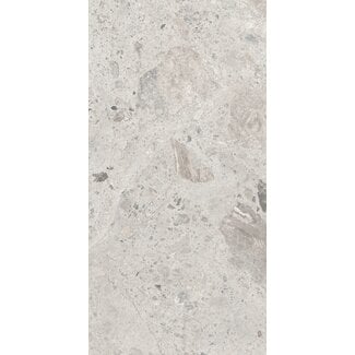 Couvet River Grey mat vloer- en wandtegel 60x120 cm