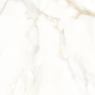 San Carlo Gold glans vloer- en wandtegel 120x120 cm