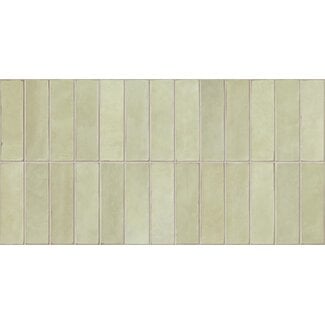 Easy Limit Apple mat wandtegel 32x62,5 cm