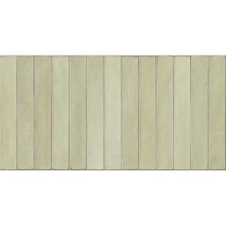 Easy Long Apple mat wandtegel 32x62,5 cm