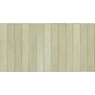 Easy Long Apple glans wandtegel 32x62,5 cm