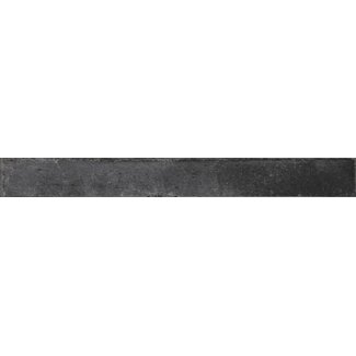 Mixtik Iron glans wandtegel 4,8x44,5 cm