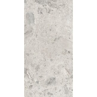 Couvet River Grey mat vloer- en wandtegel 75x150 cm