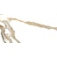 Crash Beige glans vloer- en wandtegel 30x60 cm