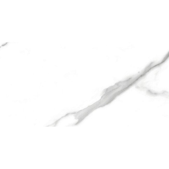 Nilo glans vloer- en wandtegel 30x60 cm