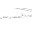 Nilo glans vloer- en wandtegel 30x60 cm