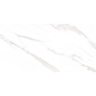 Statuary glans vloer- en wandtegel 30x60 cm