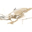 Crash Beige mat vloer- en wandtegel 60x120 cm