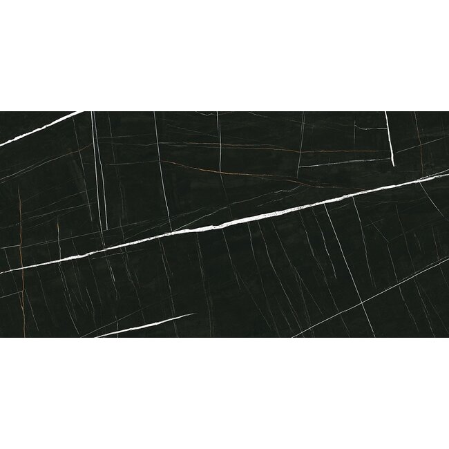Sahara Noir glans vloer- en wandtegel 60x120 cm