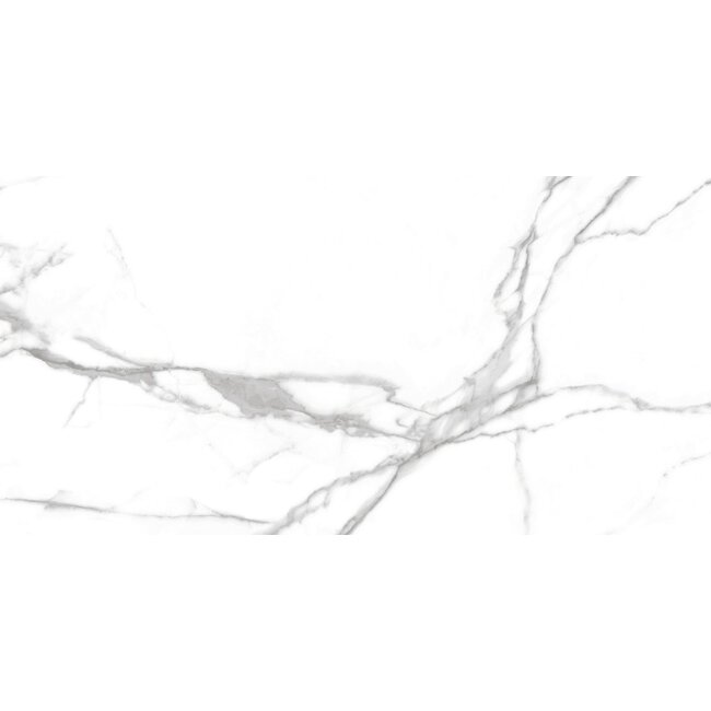 Nilo mat vloer- en wandtegel 60x120 cm