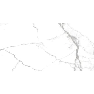 Num glans vloer- en wandtegel 60x120 cm