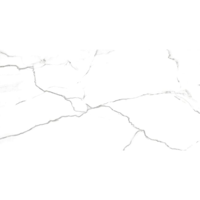 Num glans vloer- en wandtegel 60x120 cm