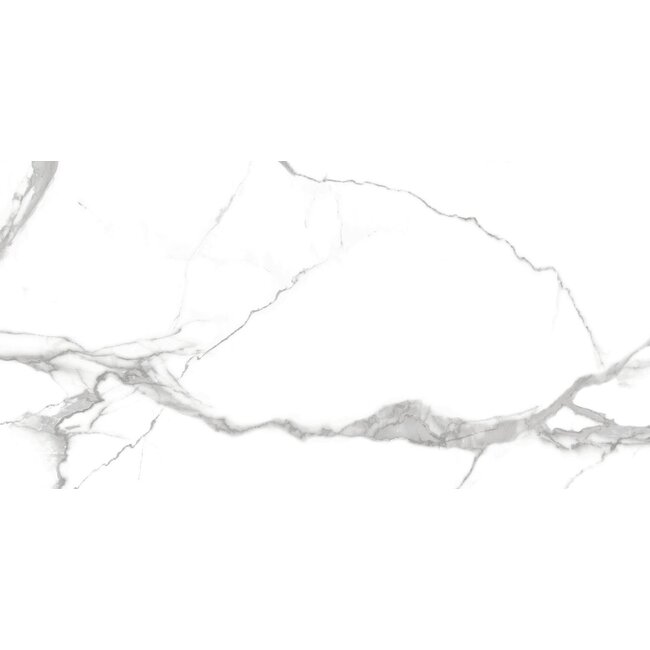 Num glans vloer- en wandtegel 60x120 cm