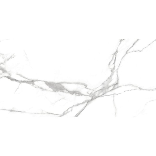Num glans vloer- en wandtegel 60x120 cm