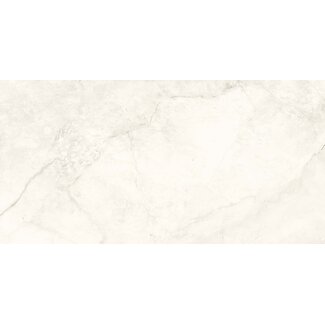 Tempus Marfil glans vloer- en wandtegel 60x120 cm