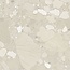 Colorado Beige mat vloer- en wandtegel 60x60 cm