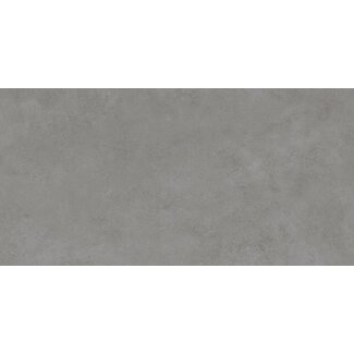 Talo Gris mat vloer- en wandtegel 60x120 cm