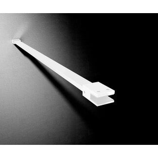 Best Design Plafondsteun Dalis voor inloopdouche 100 cm mat wit