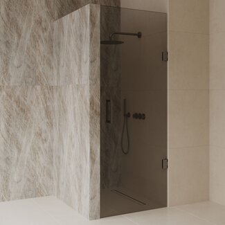 Best Design Nisdeur Dalis 80 x 200 cm, 8 mm Mocha glas met gunmetal profiel