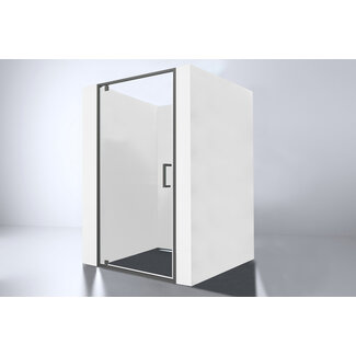 Best Design Nisdeur Arkos 90 x 200 cm, 8 mm glas met gunmetal profiel