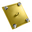 Aloni Inbouw regendouchekop 30 cm geborsteld goud