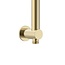 Glijstang 69 cm met wateraansluiting geborsteld goud