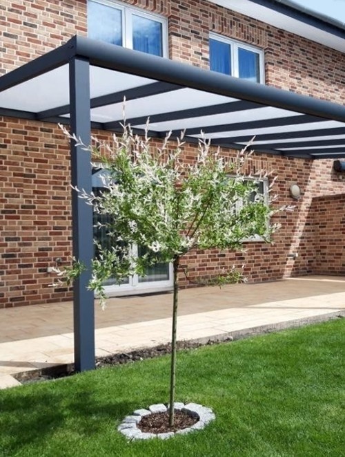 Terrasoverkapping aluminium Mondo 8 Breed