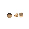 All the Luck in the World Parade Goldplated Earrings Circle All the Luck in the World Parade Goldplated Earrings Circle