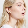 All the Luck in the World Parade Goldplated Earrings Lion All the Luck in the World Parade Goldplated Earrings Lion