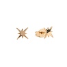 All the Luck in the World Parade Goldplated Earrings Starburst All the Luck in the World Parade Goldplated Earrings Starburst