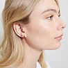 All the Luck in the World Parade Goldplated Earrings Starfish All the Luck in the World Parade Goldplated Earrings Starfish