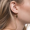 All the Luck in the World Souvenir Goldplated Earring Sea Shell All the Luck in the World Souvenir Goldplated Earring Sea Shell