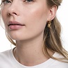 All the Luck in the World Souvenir Goldplated Earring Wolf All the Luck in the World Souvenir Goldplated Earring Wolf