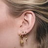 All the Luck in the World Souvenir Goldplated Earring Tooth All the Luck in the World Souvenir Goldplated Earring Tooth