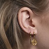 All the Luck in the World Petite Goldplated Sterling Silver Earrings Star All the Luck in the World Petite Goldplated Sterling Silver Earrings Star