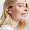 All the Luck in the World Parade Goldplated Earrings Rainbow All the Luck in the World Parade Goldplated Earrings Rainbow