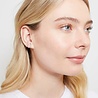 All the Luck in the World Parade Silverplated Earrings Vee All the Luck in the World Parade Silverplated Earrings Vee