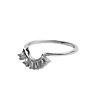 All the Luck in the World Magique Silverplated Ring Crown All Clear All the Luck in the World Magique Silverplated Ring Crown All Clear