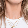 All the Luck in the World Charm Goldplated Necklace Rose Circle All the Luck in the World Charm Goldplated Necklace Rose Circle