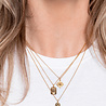 All the Luck in the World Charm Goldplated Necklace Tiger Rectangle All the Luck in the World Charm Goldplated Necklace Tiger Rectangle