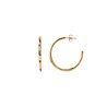 All the Luck in the World Aimé Goldplated Hoop Star Amethyst Medium All the Luck in the World Aimé Goldplated Hoop Star Amethyst Medium