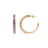 All the Luck in the World Aimé Goldplated Hoop Big Gem Amethyst Large All the Luck in the World Aimé Goldplated Hoop Big Gem Amethyst Large