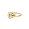 All the Luck in the World Oasis Goldplated Ring Signet Pink Star All the Luck in the World Oasis Goldplated Ring Signet Pink Star